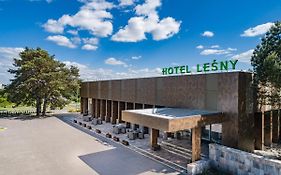 Hotel Lesny